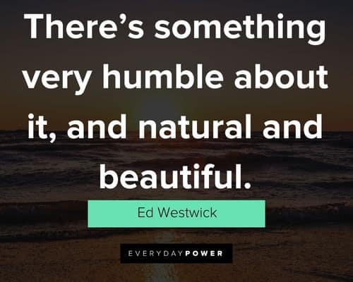 Appreciation summer quotes