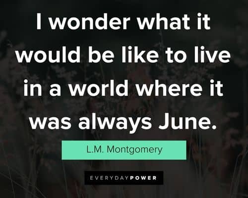 Amazing summer quotes