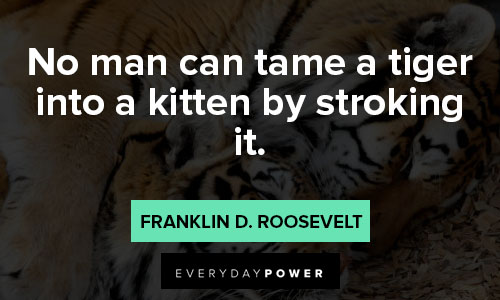 tiger quotes from influential people