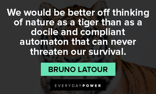 tiger quotes about thinking of nature