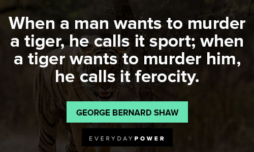 tiger quotes about ferocity