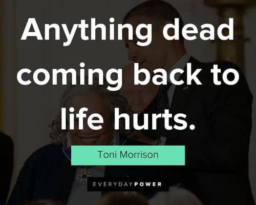 toni morrison quotes on anything dead coming back to life hurts