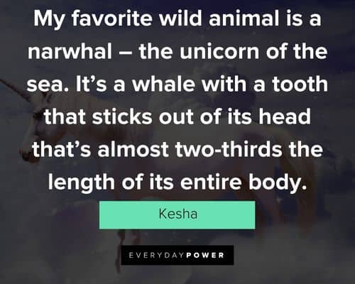 Random unicorn quotes