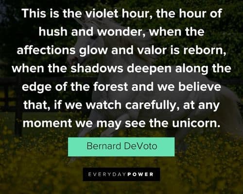 Favorite unicorn quotes