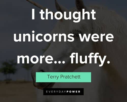 unicorn quotes about I thought unicorns were more… fluffy