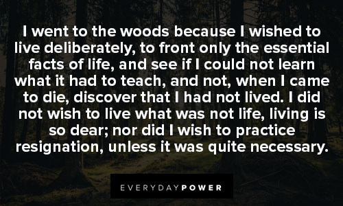 Inspiring Walden quotes