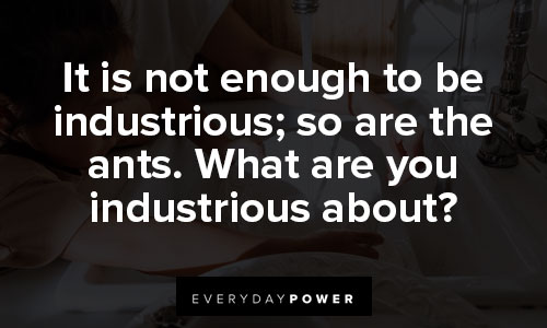 Walden quotes that industrious