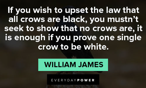 Favorite crow quotes