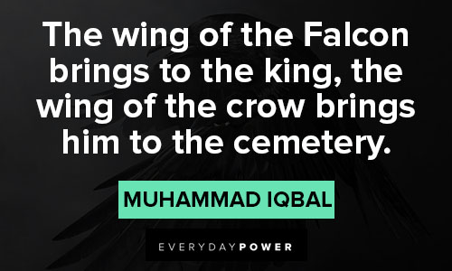crow quotes that will encourage you