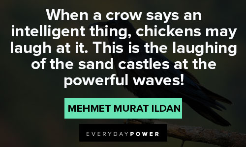 Wise crow quotes