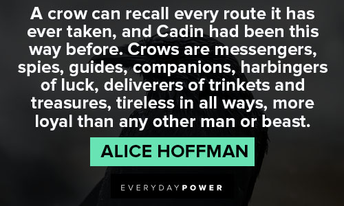 Best crow quotes