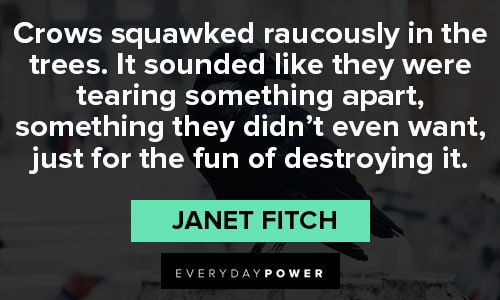 crow quotes to inspire you