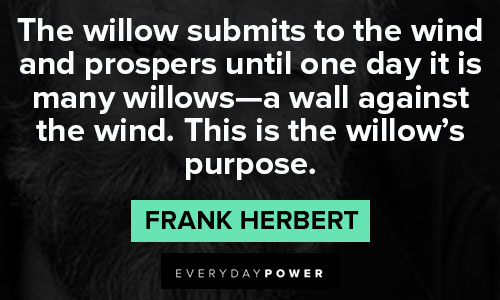 Amazing Dune quotes